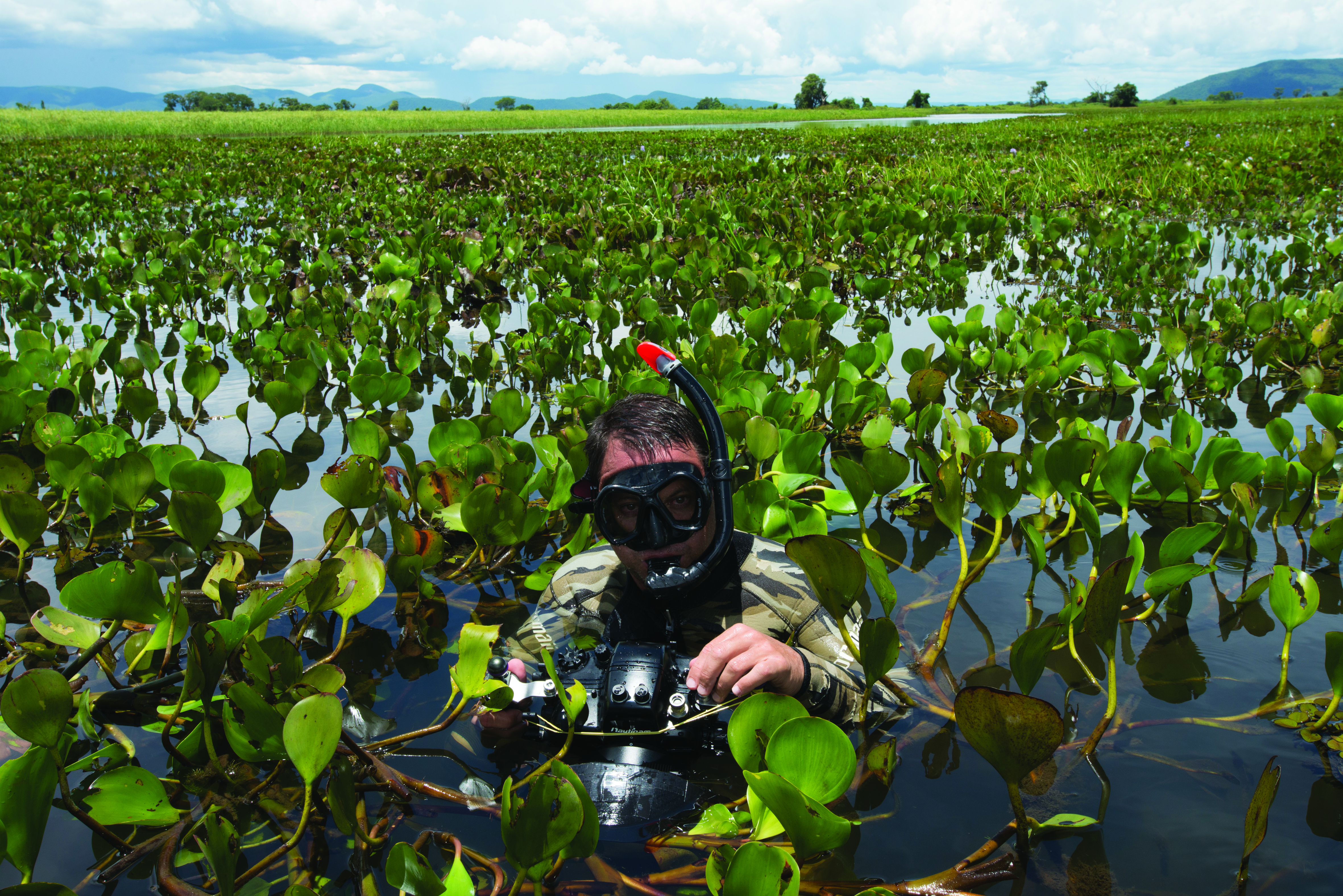Luciano Candisani em ação no Pantanal fazendo imagens subaquáticas