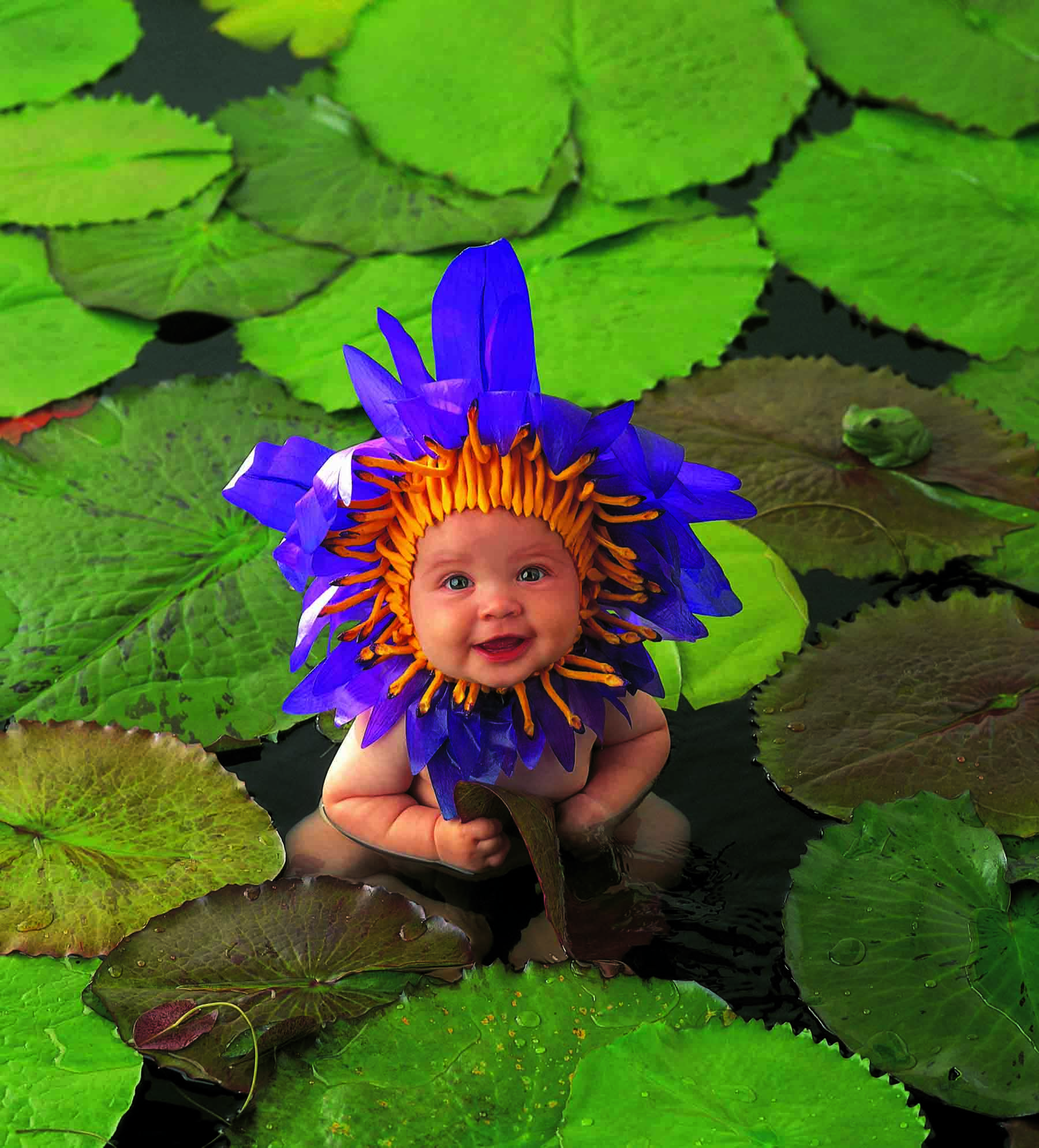 A pequena Tayla, fotografada pela australiana em 1995, vestida com uma fantasia de flor aquática 