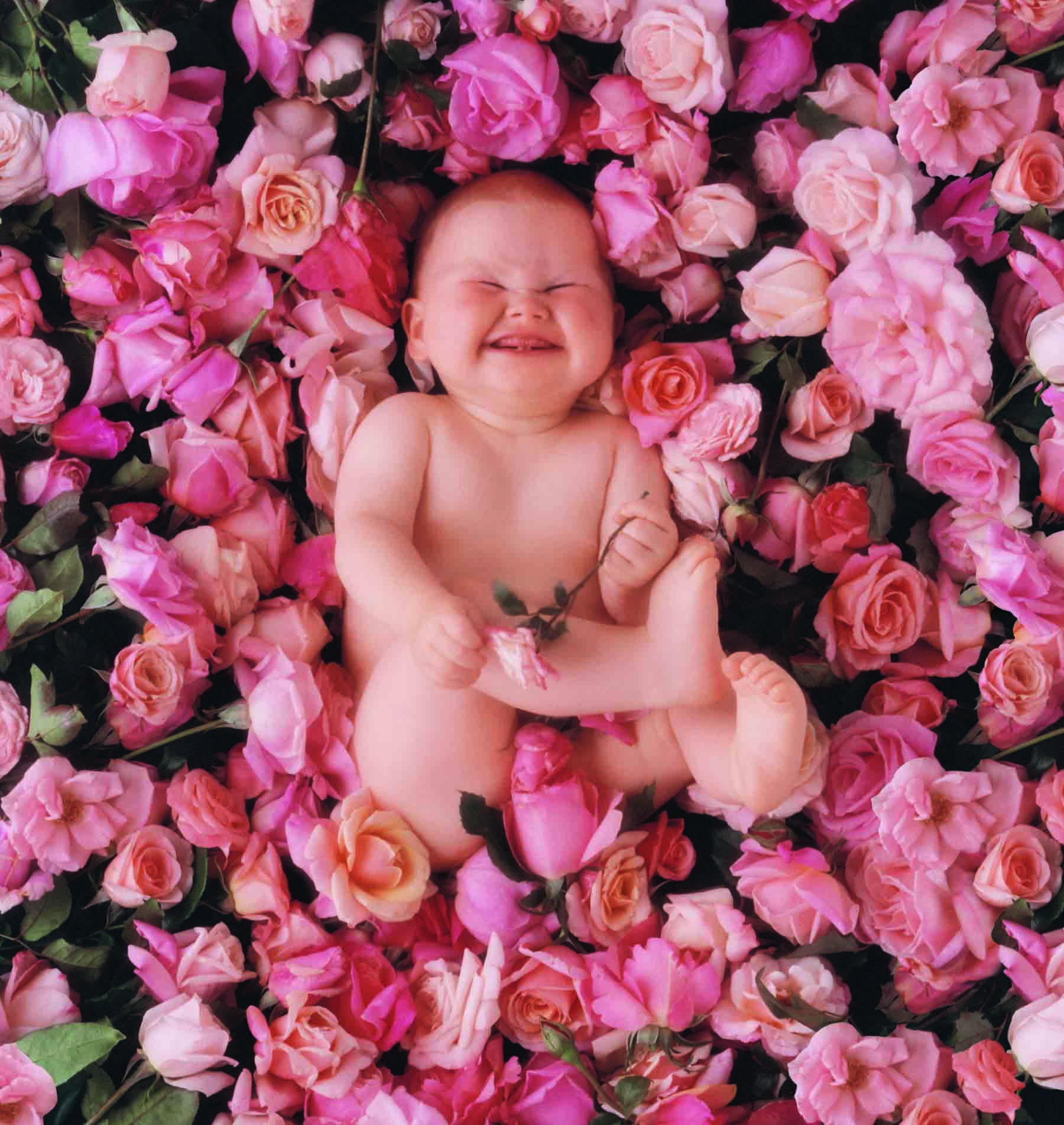 A sorridente bebê Phillipa foi clicada em 1998 em meio a rosas numa imagem que estampou cadernos e agendas mundo afora 