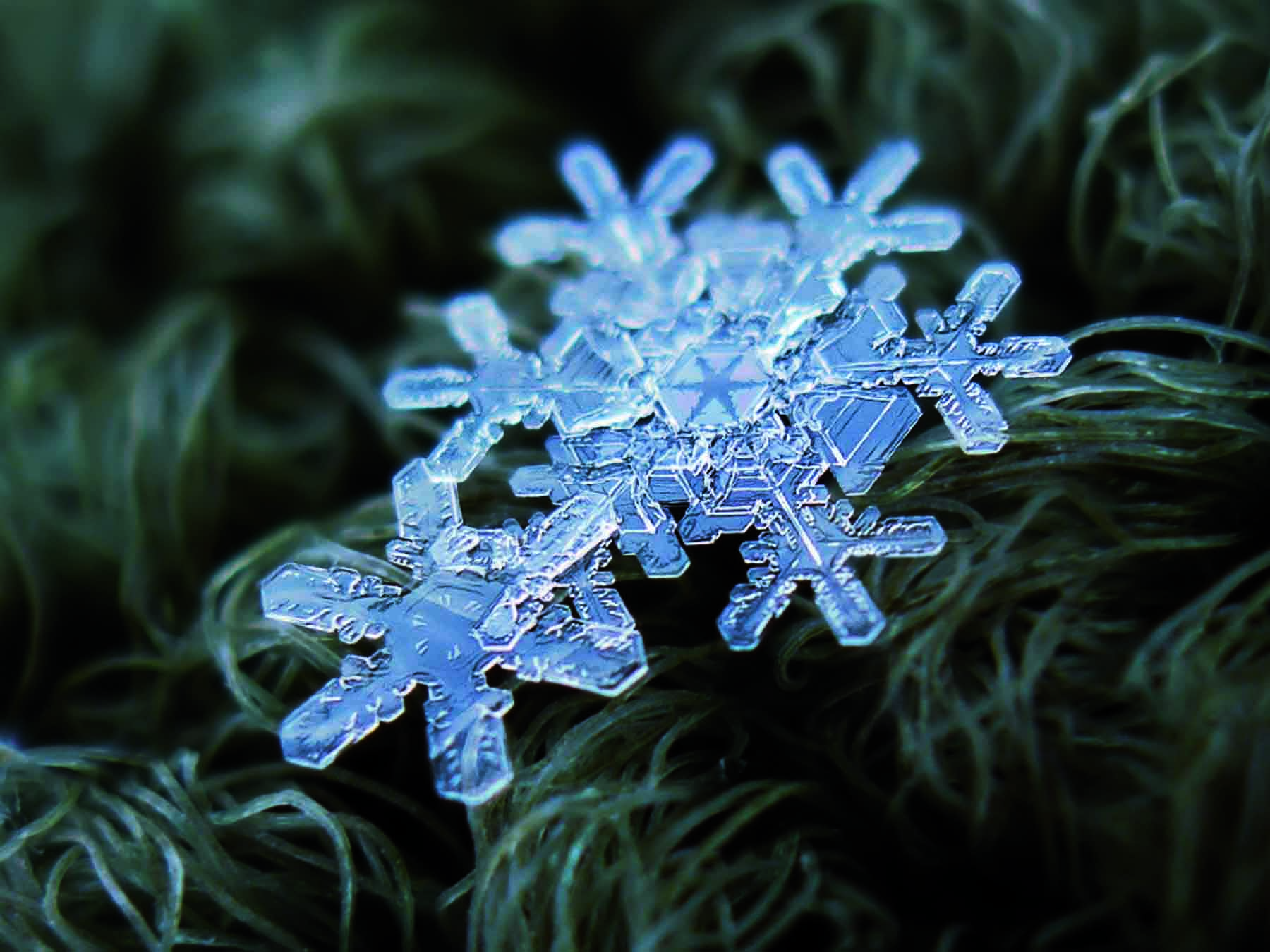 Os cristais de neve medem a partir de 1 milímetro de diâmetro e não vão além disso
