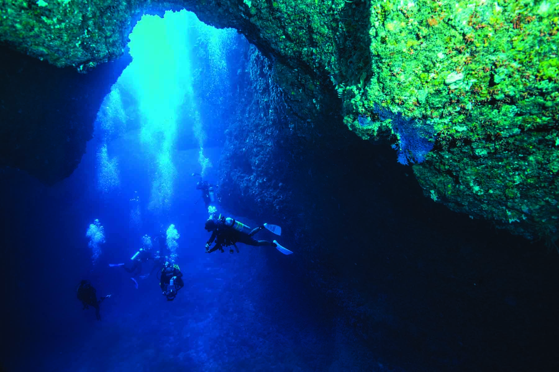 Cavernas marinhas, recifes de corais, navios naufragados e grandes animais marinhos são temas explorados nas panorâmicas subaquáticas