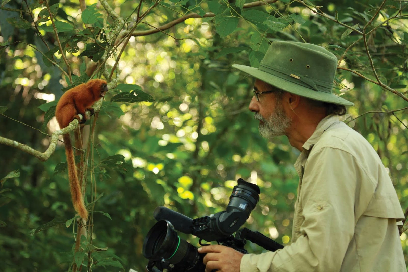 Haroldo Palo Jr foi um dos pioneiros da fotografia de natureza no Brasil