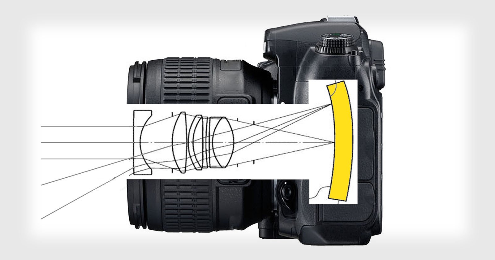 No Japão, a Nikon fez um requerimento de patente para uma lente feita especialmente para sensor curvo; como a Nikon usa sensores da Sony, esta empresa também estaria desenvolvendo a nova tecnologia 