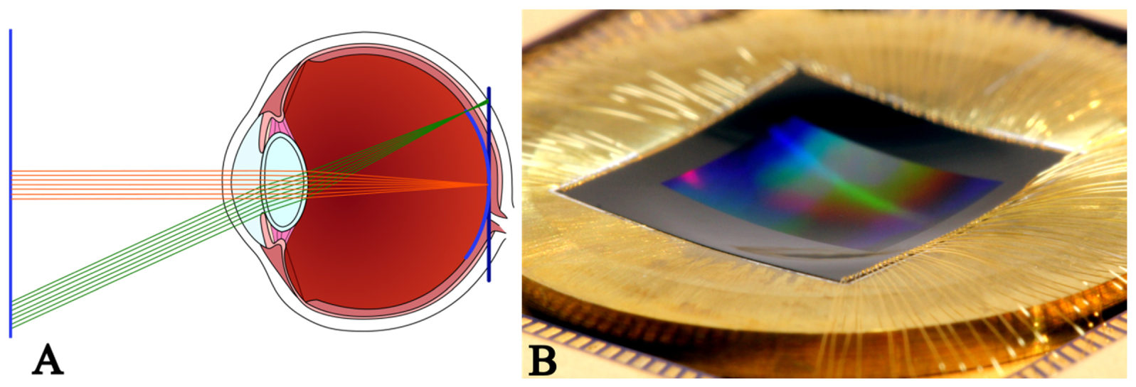A ideia central do sensor curvo está na própria curvatura do olho humano e esse formato permitiria evitar problemas apresentados pelas lentes, como distorção de campo, aberração cromática e astigmatismo 