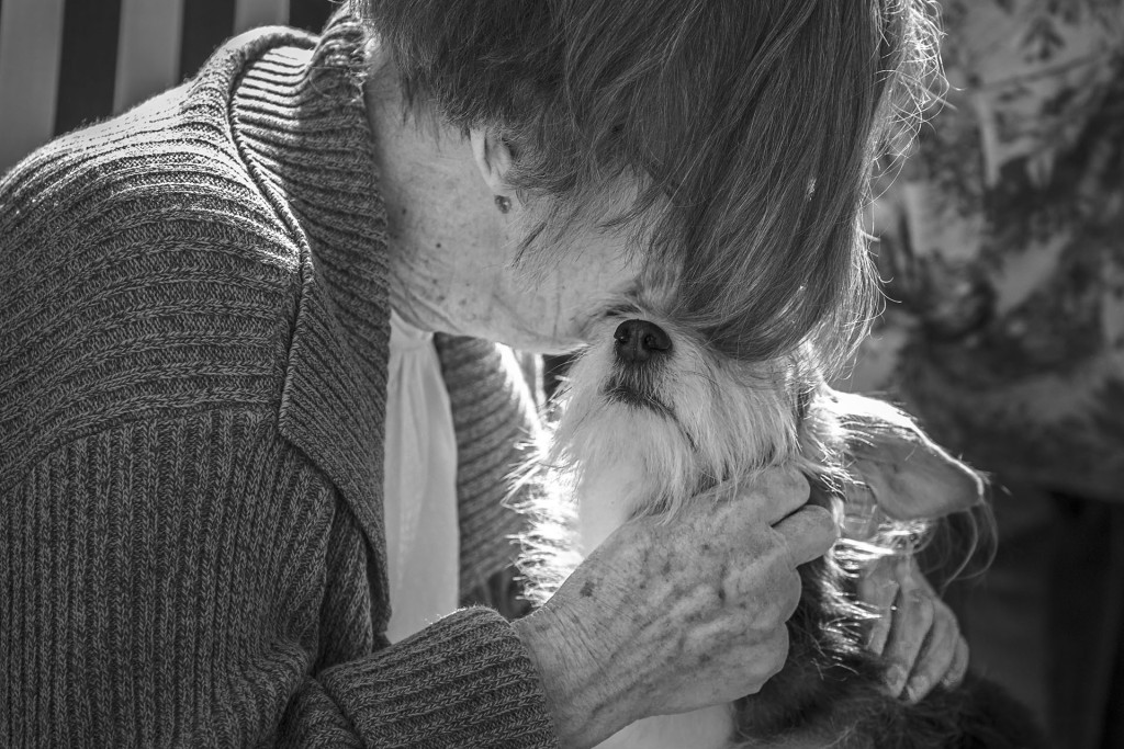 Primeiro Colocado na Categoria Assistance Dogs - Angelika Elendt ©