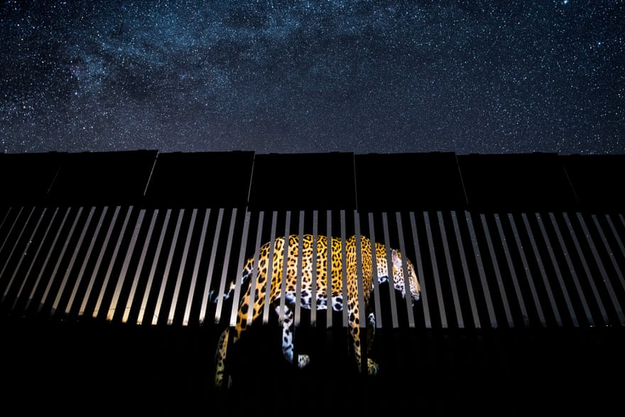 Primeiro lugar na categoria Fotojornalismo: Alejandro Prieto, México