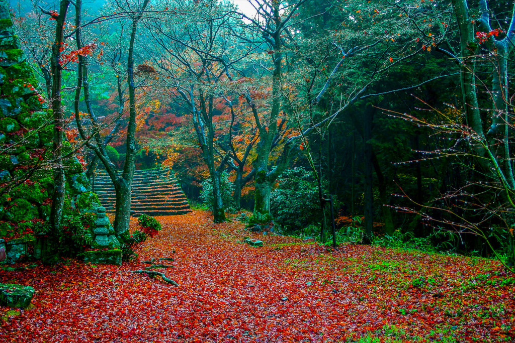 Jardim em Kioto: o brasileiro se tornou profissional de fotografia na histórica cidade japonesa. Foto: Jared Windmüller